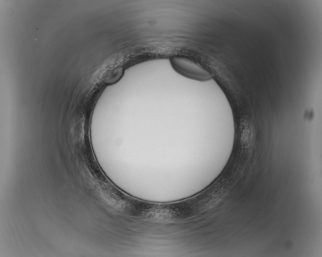 X0000114560685200911161224
