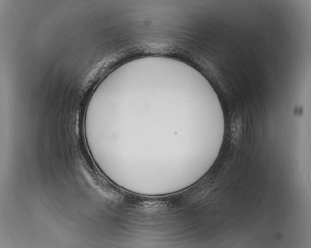 X0000114560686200911161224