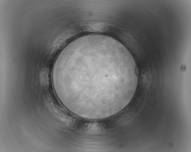 X0000114560688200911161224