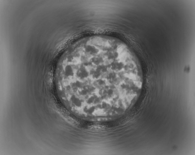 X0000114560691200911161224