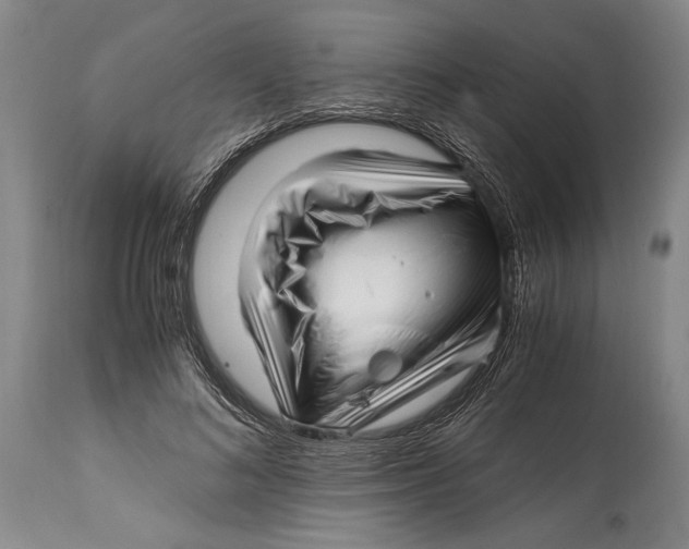 X0000114560692200911161224