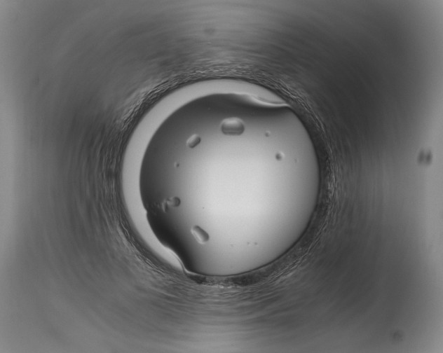 X0000114560693200911161224