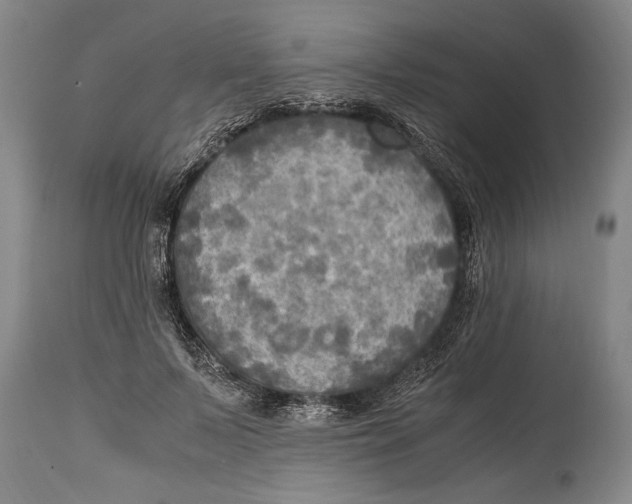 X0000114560695200911161224
