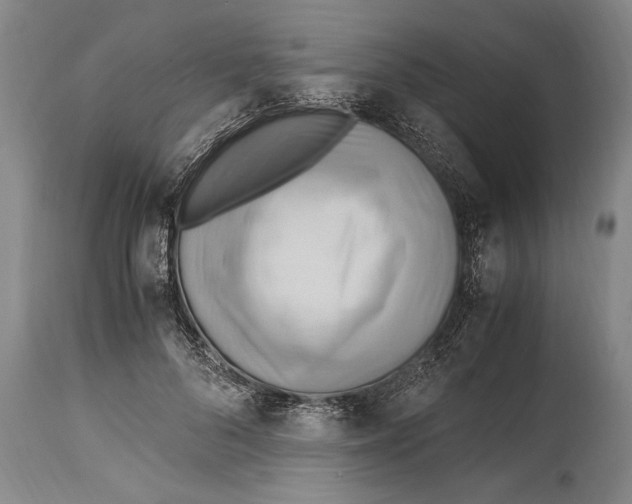 X0000114560696200911161224
