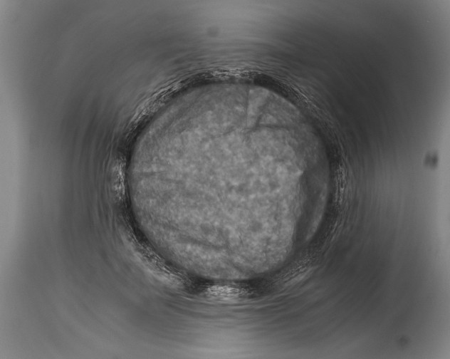 X0000114560699200911161224
