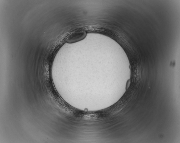 X0000114560700200911161224