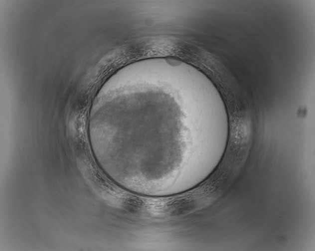 X0000114560701200911161224