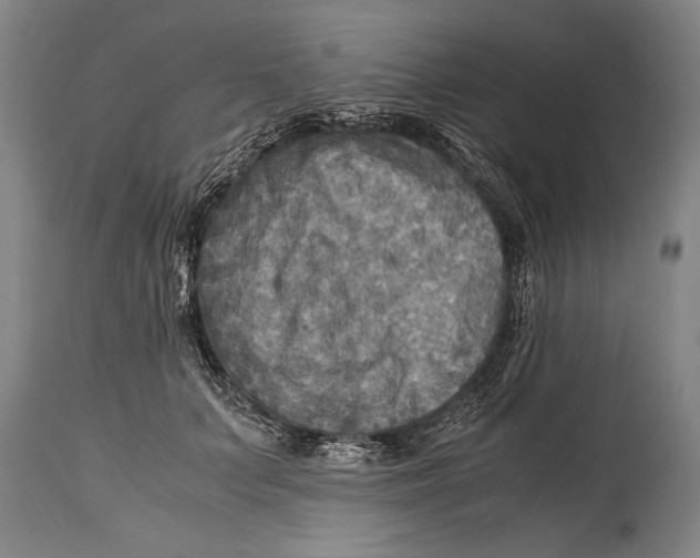 X0000114560703200911161224