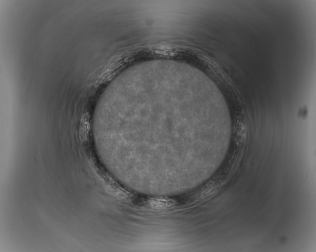 X0000114560707200911161224