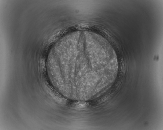 X0000114560711200911161224