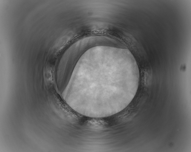 X0000114560712200911161224