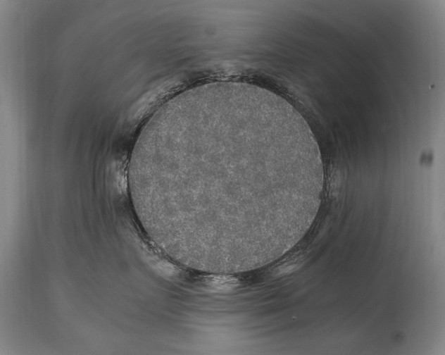 X0000114560719200911161224