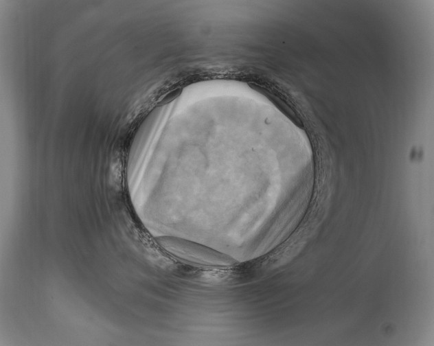X0000114560720200911161224