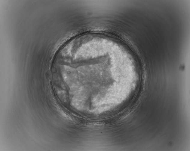 X0000114560721200911161223
