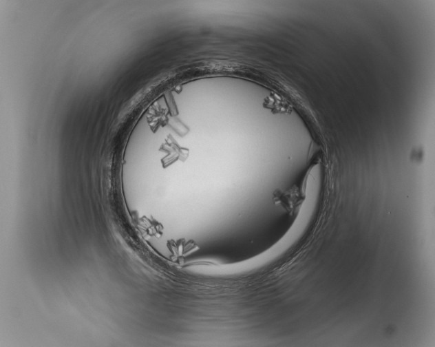 X0000114560722200911161223