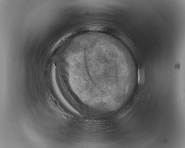 X0000114560723200911161223