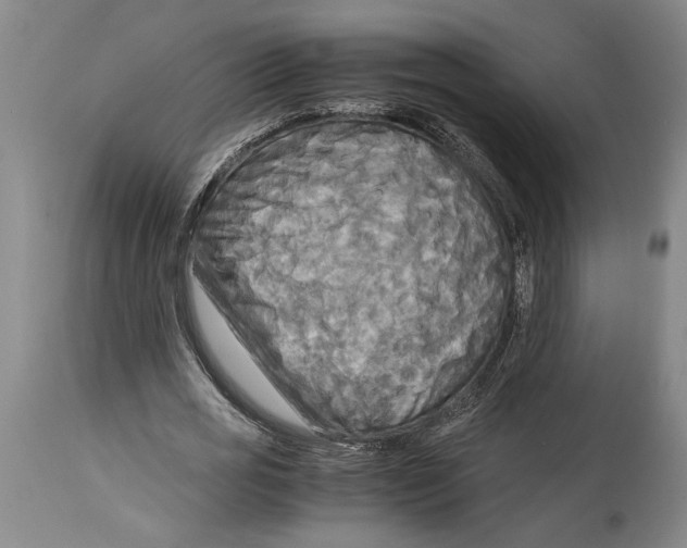 X0000114560725200911161223