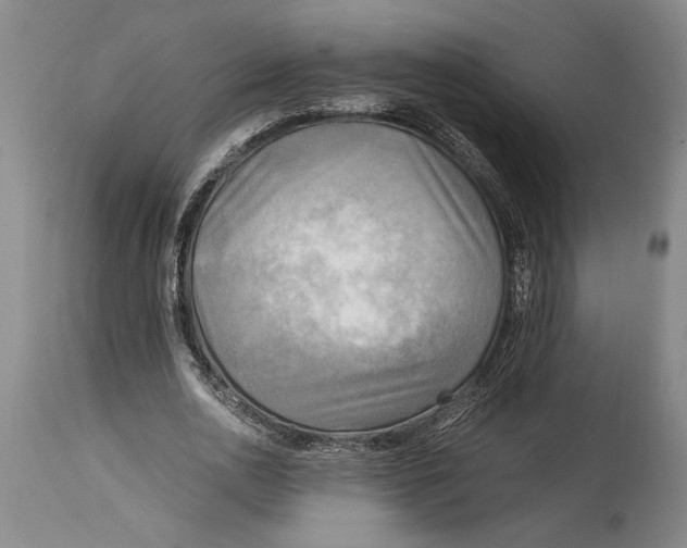 X0000114560726200911161223