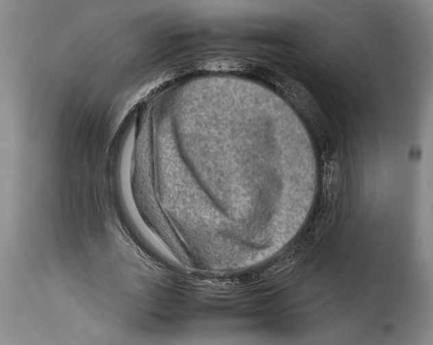 X0000114560727200911161223
