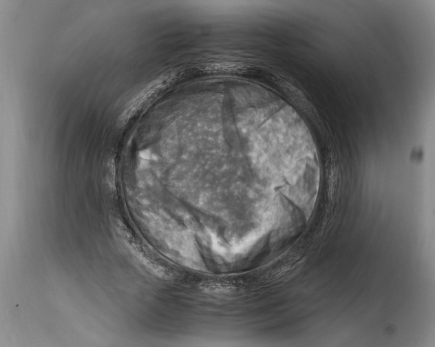 X0000114560729200911161223