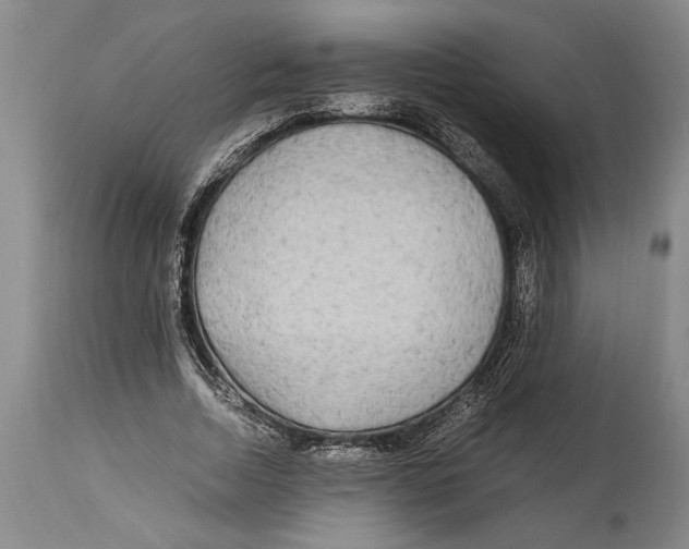 X0000114560730200911161223