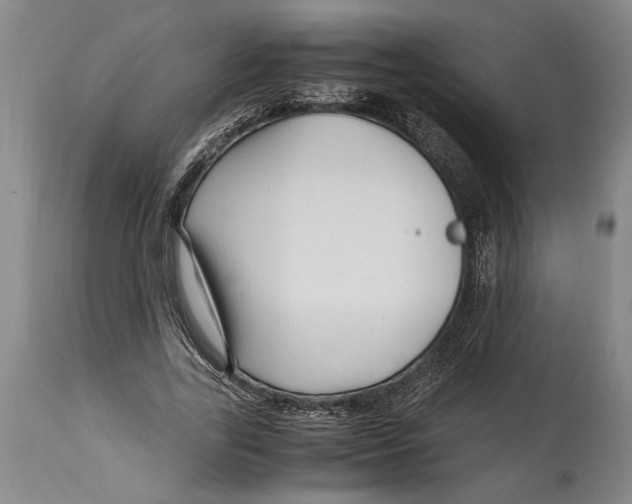 X0000114560731200911161223