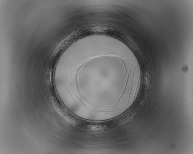 X0000114560733200911161223