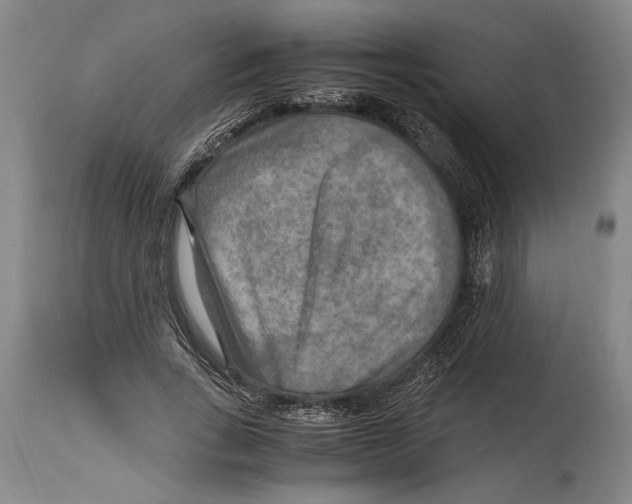 X0000114560735200911161223