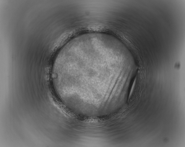 X0000114560738200911161223