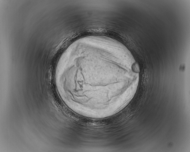 X0000114560739200911161223
