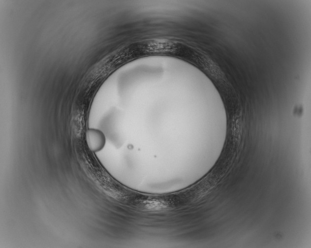 X0000114560741200911161223