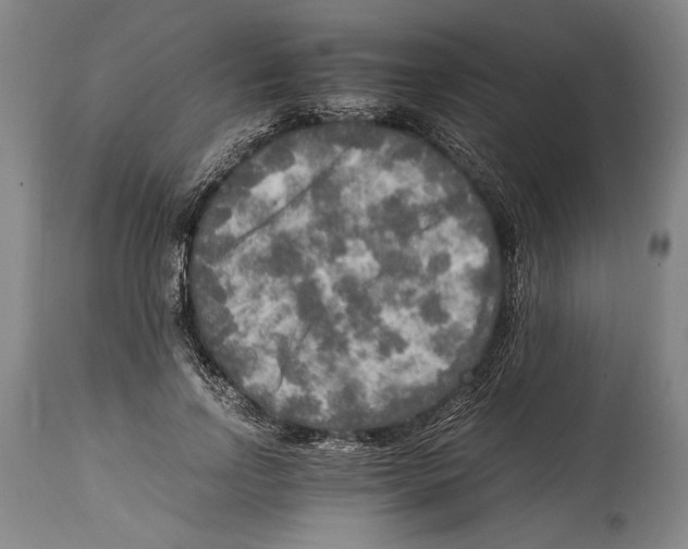 X0000114560742200911161223
