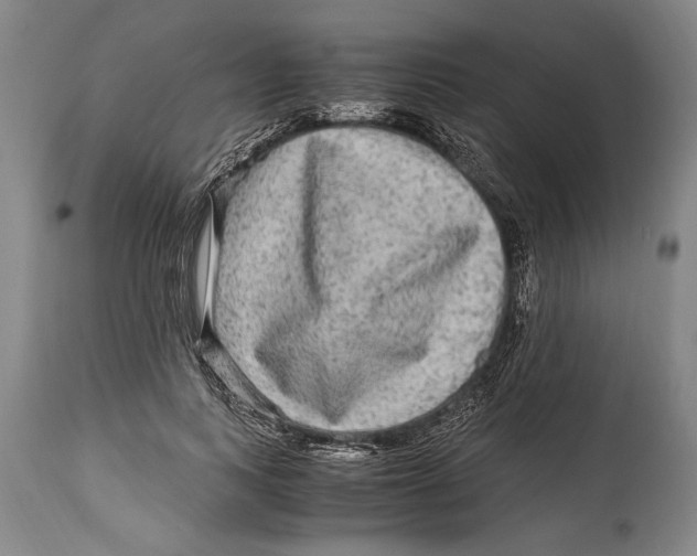 X0000114560743200911161223