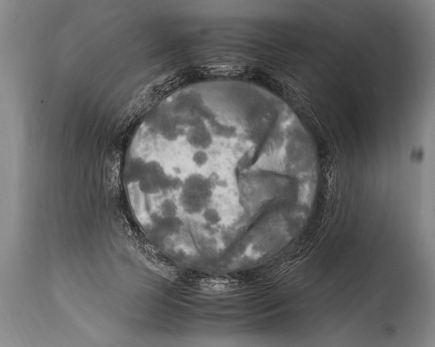 X0000114560745200911161223