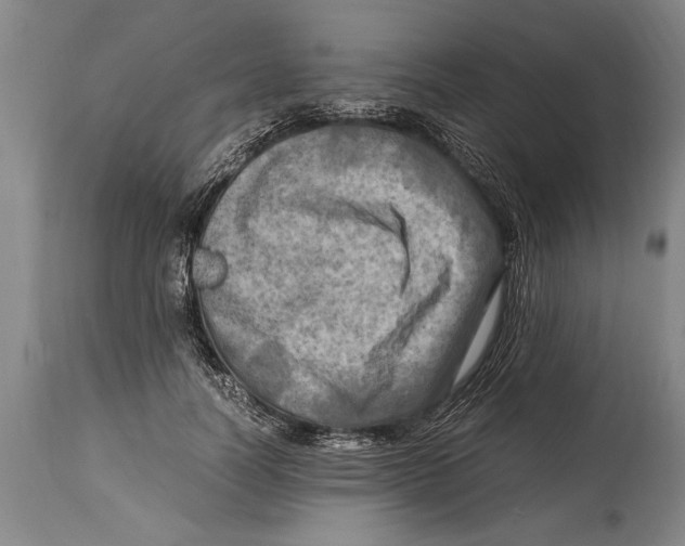 X0000114560746200911161223
