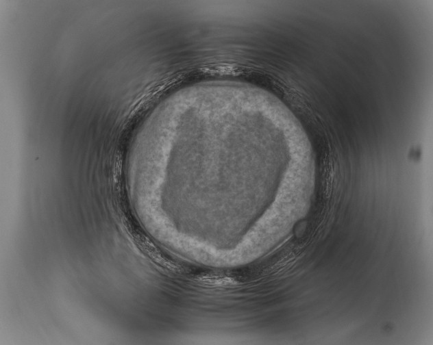 X0000114560747200911161223