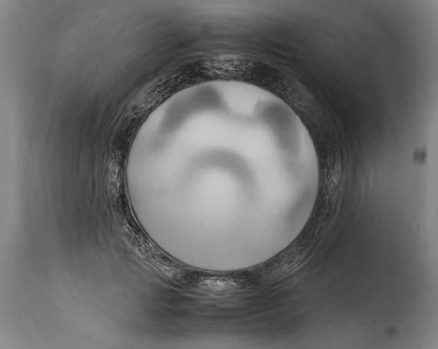 X0000114560749200911161223