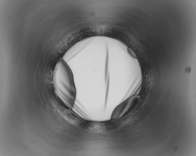 X0000114560750200911161223