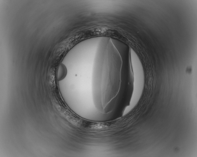 X0000114560754200911161223