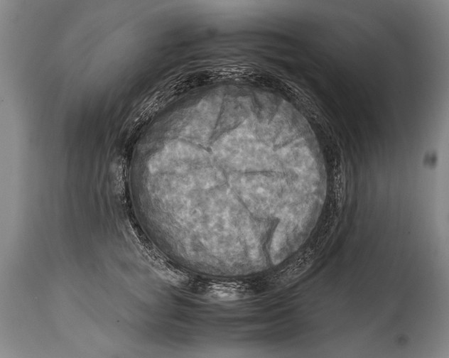 X0000114560757200911161223
