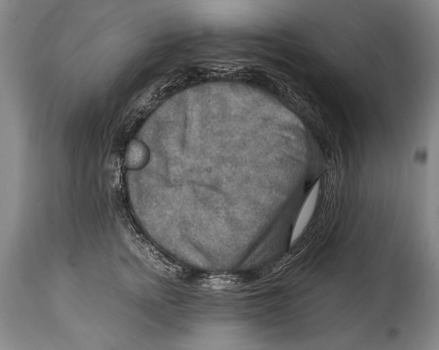 X0000114560758200911161223