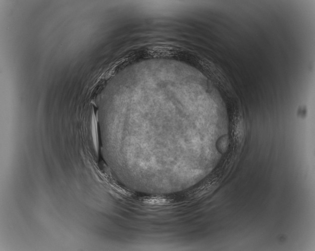 X0000114560759200911161223