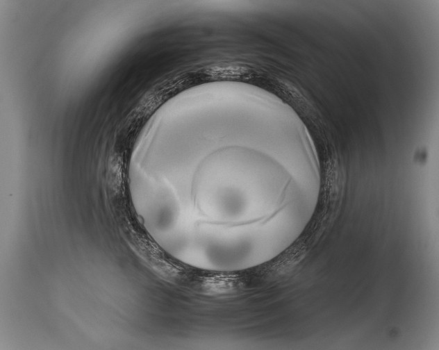 X0000114560761200911161224