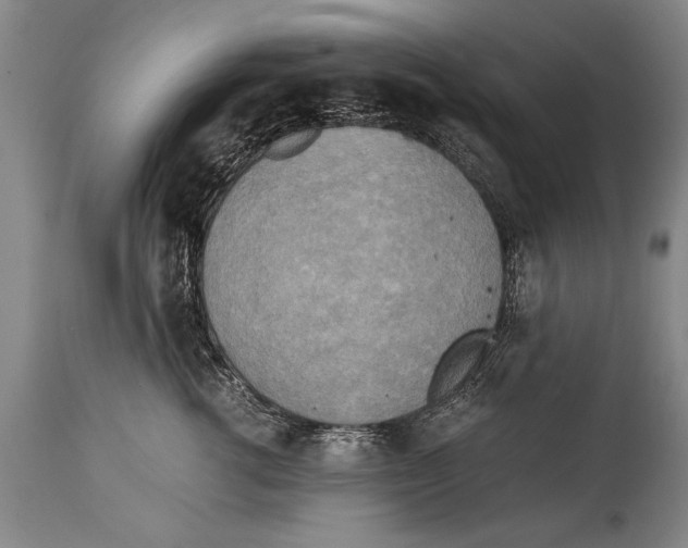 X0000114560762200911161224