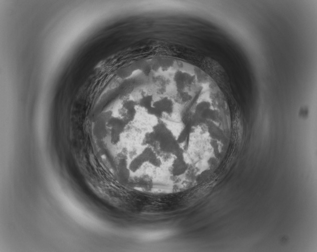 X0000114560765200911161224