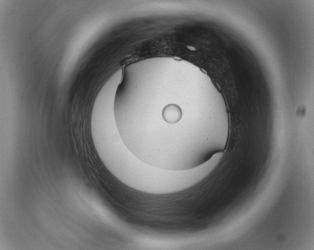 X0000114560766200911161224