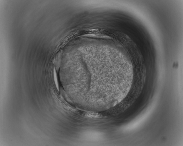 X0000114560767200911161224