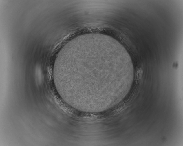 X0000114560772200911161223