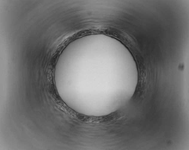 X0000114560773200911161223