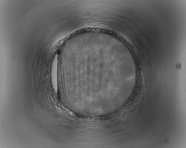 X0000114560775200911161223
